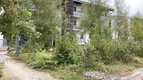 Le prochain congrès Hortis aura lieu à Roanne (42) du 13 au 15 octobre sur le thème : « Nature, effort et réconfort ». L’occasion d’insister sur la vocation de l’association : la présence de la nature en ville ! ©F. Arnould